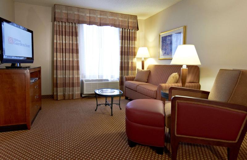 سوئیت با تخت بزرگ, Hilton Garden Inn Denver Airport