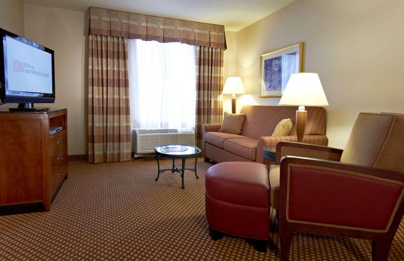 سوئیت با تخت بزرگ, Hilton Garden Inn Denver Airport