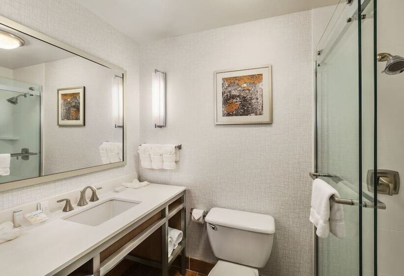 اتاق استاندارد با 2 تخت دوبل, Hilton Garden Inn Flagstaff