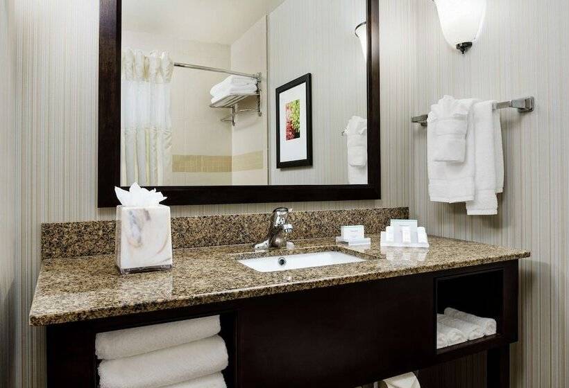 Deluxe Room, Hilton Garden Inn Lake Mary