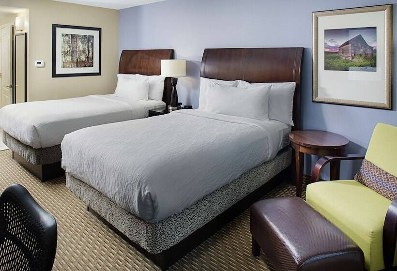 اتاق استاندارد با 2 تخت دوبل, Hilton Garden Inn Raleigh Durham Airport