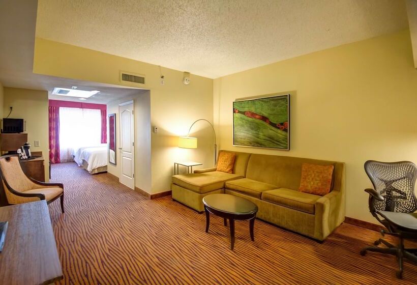 اتاق استاندارد, Hilton Garden Inn Tampa Ybor Historic District