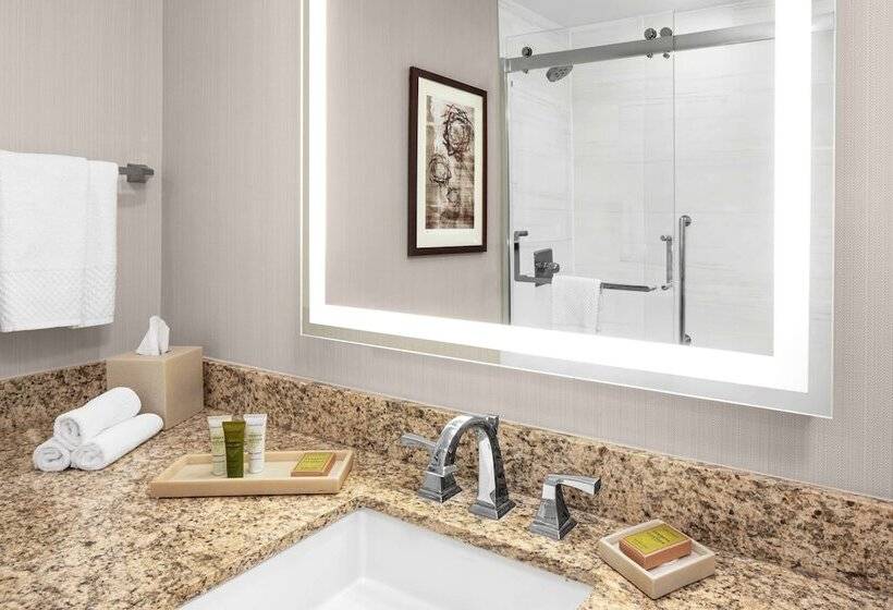 اتاق لوکس با تخت بزرگ, Hilton Kansas City Airport