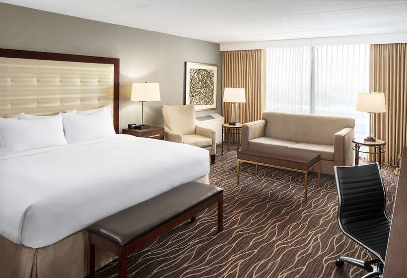 اتاق لوکس با تخت بزرگ, Hilton Kansas City Airport