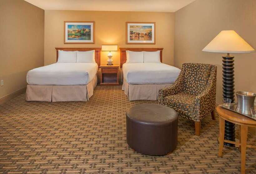 اتاق استاندارد, Hilton Seattle Airport & Conference Center