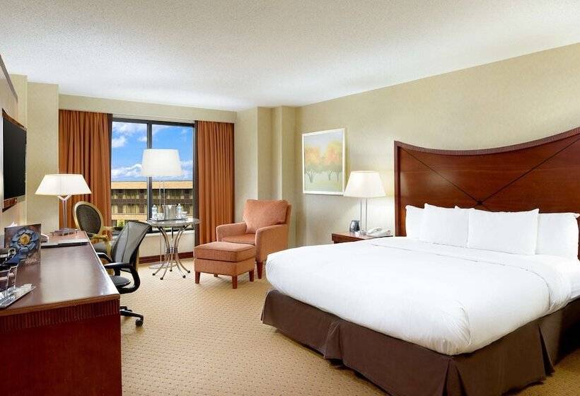 اتاق کلاس بیزنس, Hilton Washington Dulles Airport