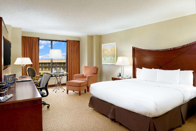 اتاق استاندارد با تخت بزرگ, Hilton Washington Dulles Airport