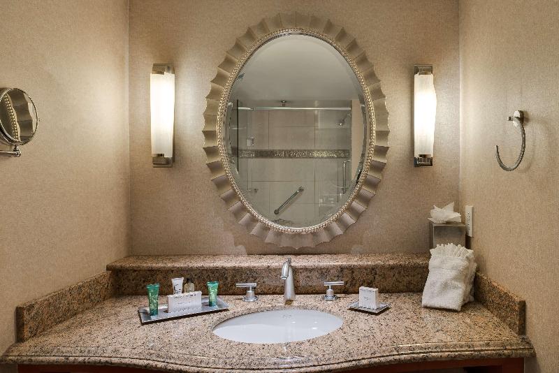 اتاق استاندارد با تخت بزرگ, Hilton Washington Dulles Airport