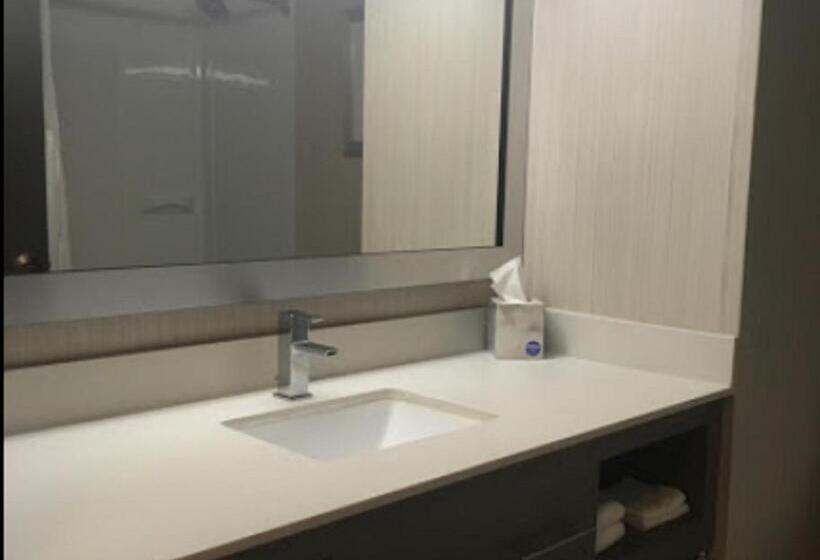 اتاق استاندارد با تخت بزرگ, Sleep Inn & Suites