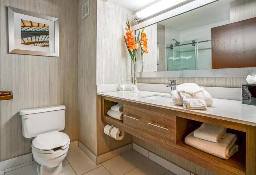 اتاق استاندارد با تخت بزرگ, Sleep Inn & Suites