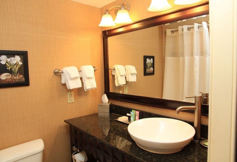 اتاق استاندارد با تخت دوبل, Wyndham Grand Pittsburgh
