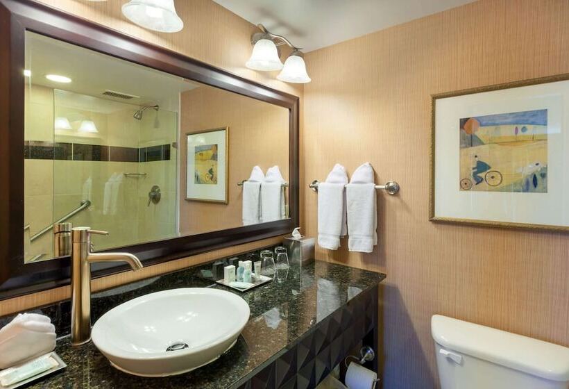 اتاق لوکس, Wyndham Grand Pittsburgh