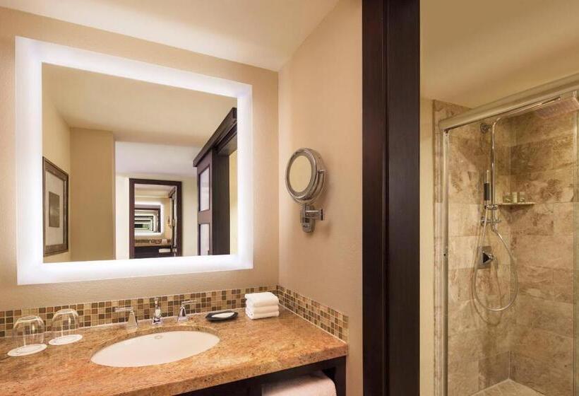 اتاق استاندارد با تخت بزرگ, Opal Key Resort & Marina