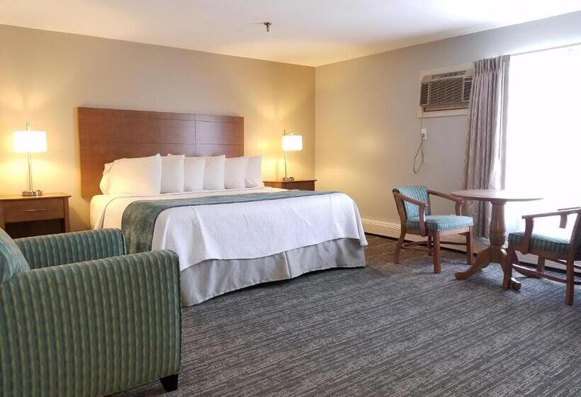 اتاق استاندارد با تخت بزرگ, Hampton Village Inn