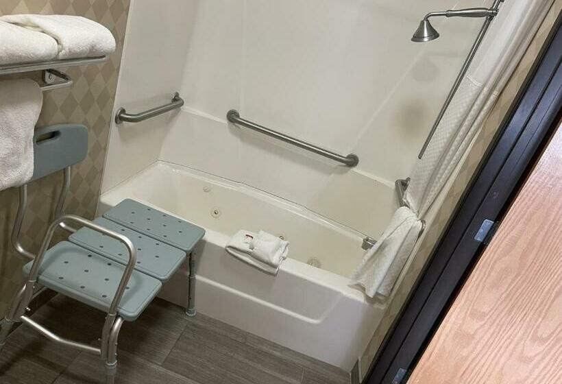 اتاق استاندارد با تخت بزرگ, Baymont By Wyndham Galesburg