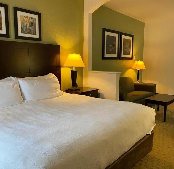 اتاق اجرایی با تخت بزرگ, Best Western Celina