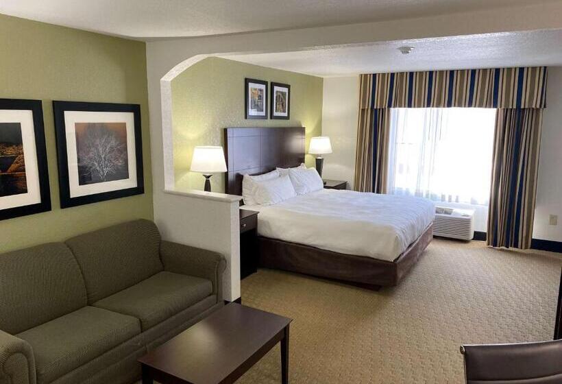 Suite King Bed, Best Western Celina