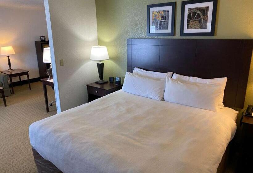 Suite King Bed, Best Western Celina