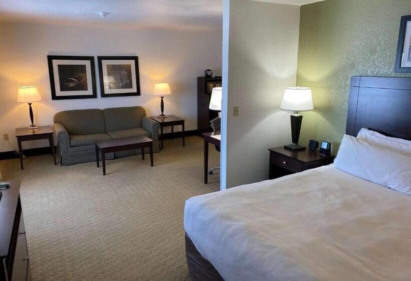 سوئیت با تخت بزرگ, Best Western Celina