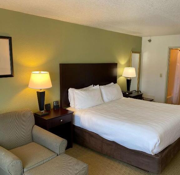 اتاق استاندارد با تخت بزرگ, Best Western Celina