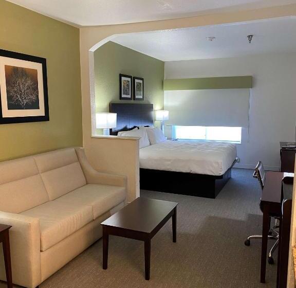 Executive Room King Size Bed, Best Western Celina