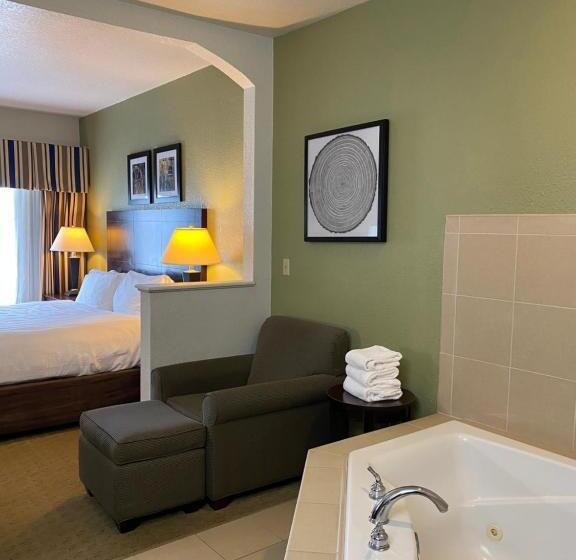 اتاق استاندارد با تخت بزرگ, Best Western Celina