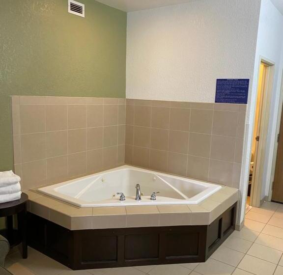 اتاق استاندارد با تخت بزرگ, Best Western Celina