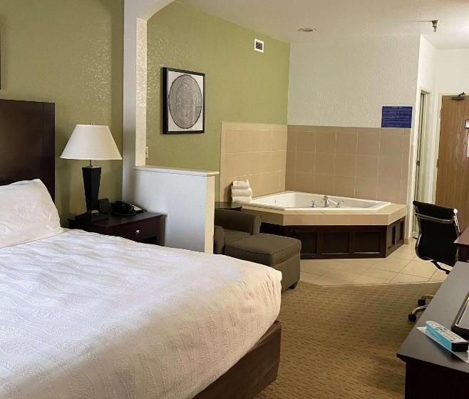 اتاق استاندارد با تخت بزرگ, Best Western Celina