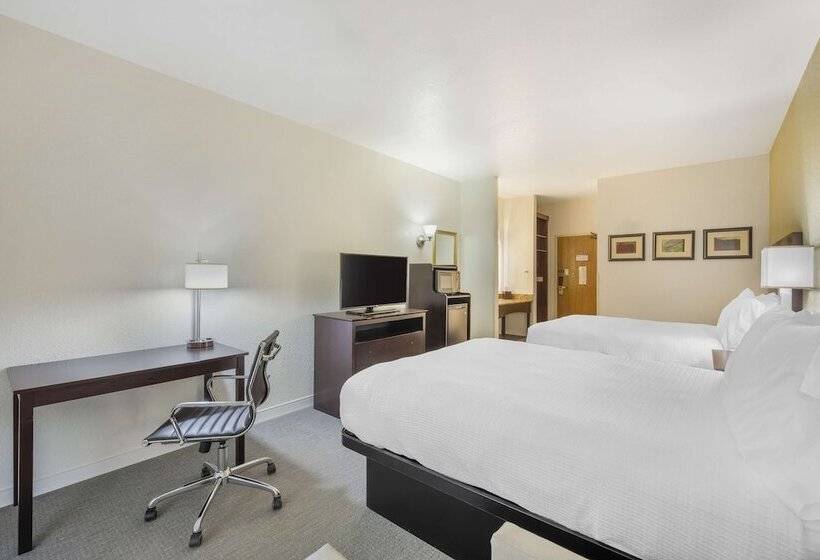 سوییت, Best Western Celina