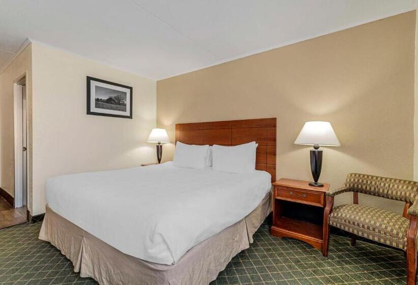 Standaardkamer met Kingsize Bed, Best Western Plus Augusta Civic Center Inn