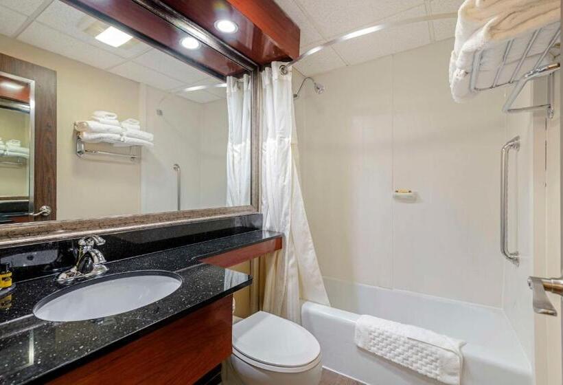 اتاق استاندارد با تخت بزرگ, Best Western Plus Augusta Civic Center Inn