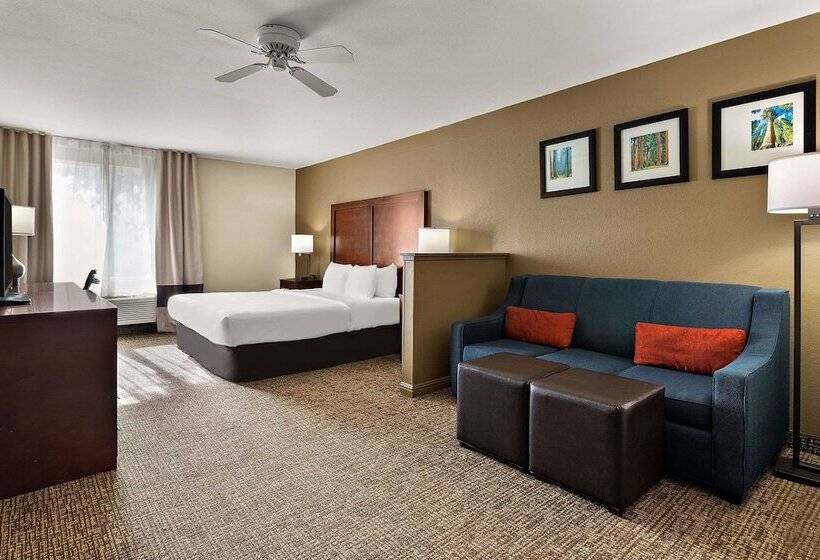 سوئیت با تخت بزرگ, Comfort Inn & Suites Sequoia Kings Canyon