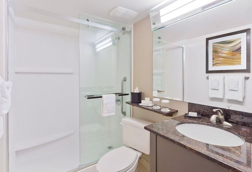 اتاق استاندارد با 2 تخت دوبل, Courtyard Miami Downtown Brickell Area