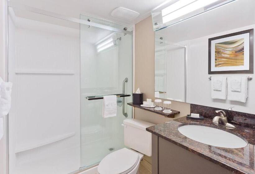 اتاق استاندارد با تخت بزرگ, Courtyard Miami Downtown Brickell Area