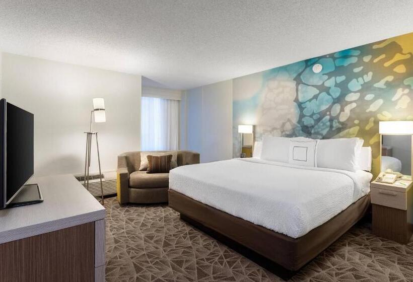 سوئیت با تخت بزرگ, Courtyard Miami Downtown Brickell Area