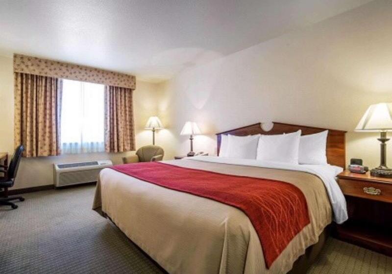 اتاق استاندارد با تخت بزرگ, Doubletree By Hilton Hotel Rocky Mount