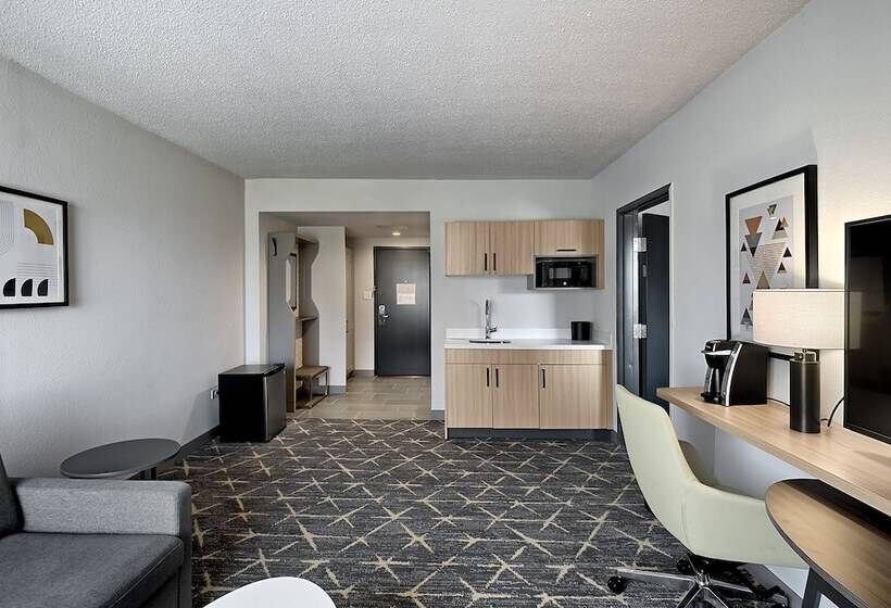 سوییت, Holiday Inn Hotel & Suites Chicago   Downtown, An Ihg