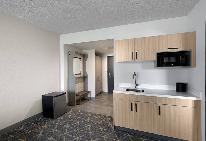 Suite Adapted for people with reduced mobility, Holiday Inn  & Suites Chicago  Downtown