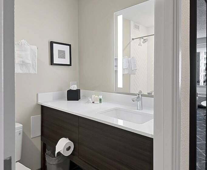 سوئیت برای معلولان, Holiday Inn Hotel & Suites Chicago   Downtown, An Ihg