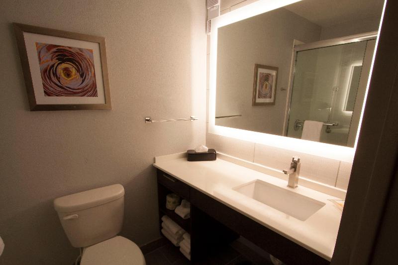 اتاق استاندارد با تخت بزرگ برای معلولان, Holiday Inn Alexandria   Downtown, An Ihg