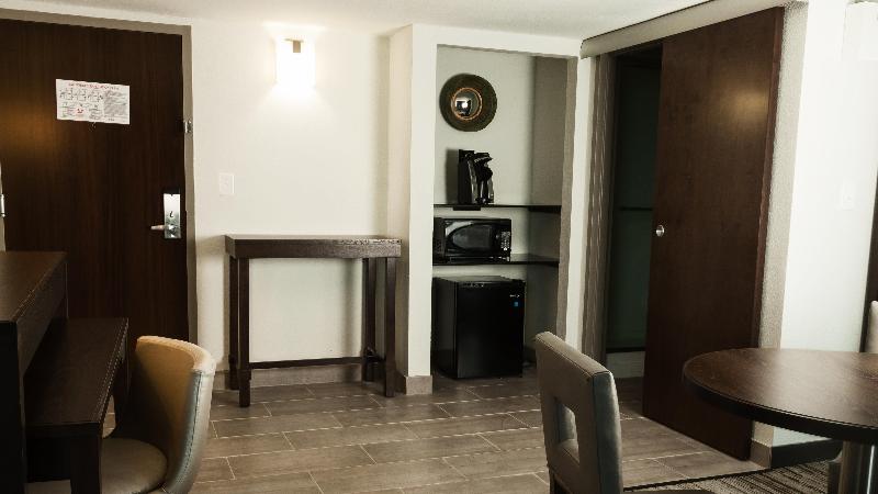 اتاق اجرایی با تخت بزرگ, Holiday Inn Alexandria  Downtown