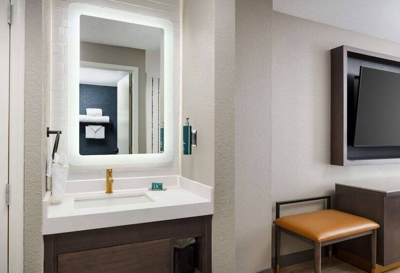 اتاق استاندارد با تخت دوبل برای معلولان, Holiday Inn Charlottecenter City