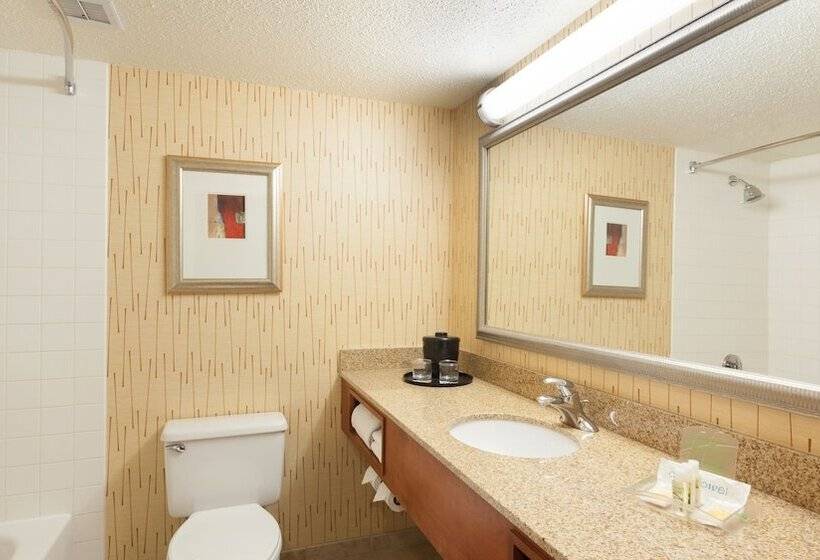 Standard Room Double Bed, Holiday Inn Cincinnati Airport, An Ihg