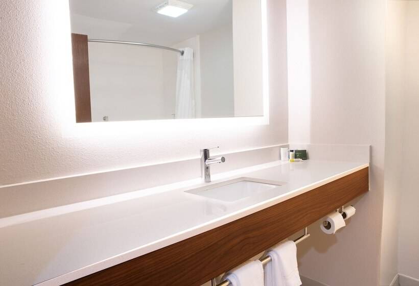 اتاق استاندارد, Holiday Inn Express & Suites Dayton Huber Heights By Ihg