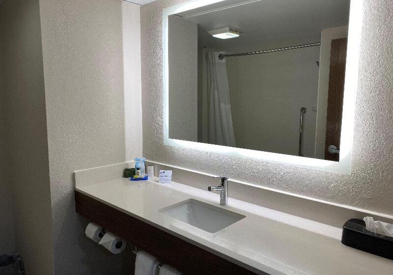 اتاق استاندارد با تخت بزرگ برای معلولان, Holiday Inn Express & Suites Dayton Huber Heights By Ihg