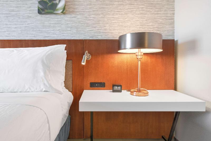 اتاق استاندارد با تخت دو نفره بزرگ, Holiday Inn Express  & Suites Madison