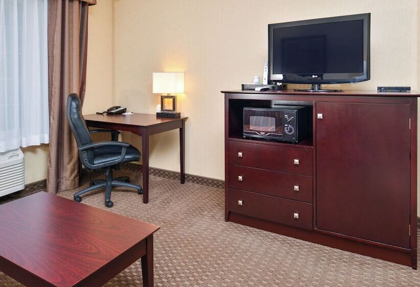 اتاق استاندارد, Holiday Inn Express  & Suites Portland  Jantzen Beach