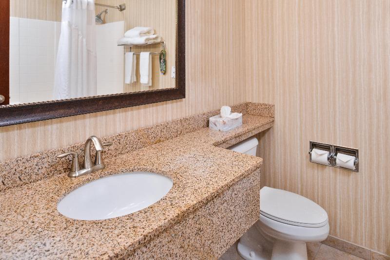 اتاق استاندارد با تخت بزرگ, Holiday Inn Express Hotel & Suites Portland   Jantzen Beach, An Ihg