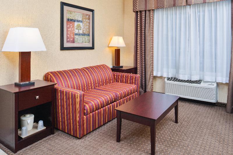 اتاق استاندارد با تخت بزرگ, Holiday Inn Express Hotel & Suites Portland   Jantzen Beach, An Ihg