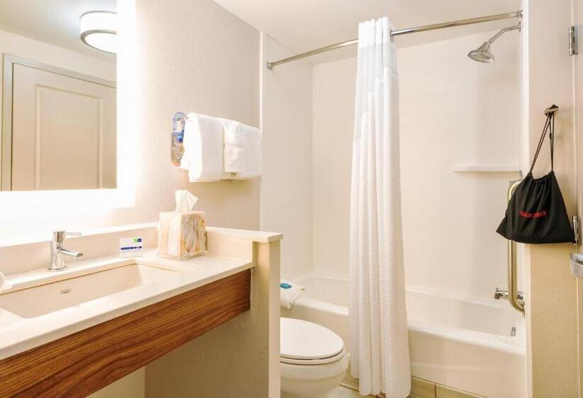سوئیت با تخت بزرگ, Holiday Inn Express Charleston Us Highway 17 & I 526, An Ihg